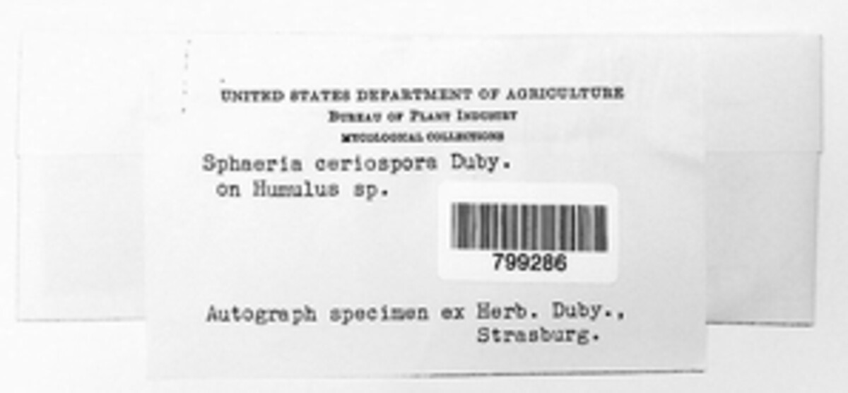 Sphaeria ceriospora image